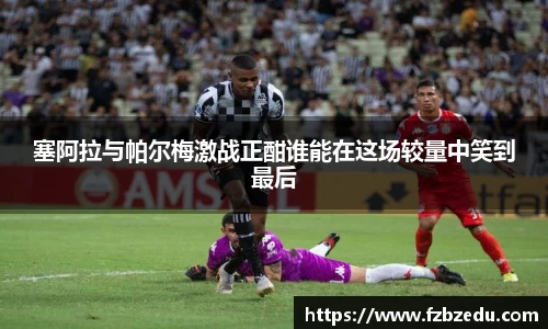 bv伟德国际体育官方网站