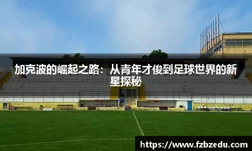 bv伟德国际体育官方网站