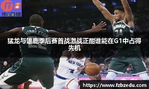 bsports官网入口